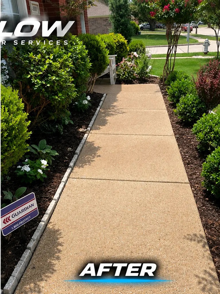 Clean landscaped walkway after a FLOW exterior cleaning project